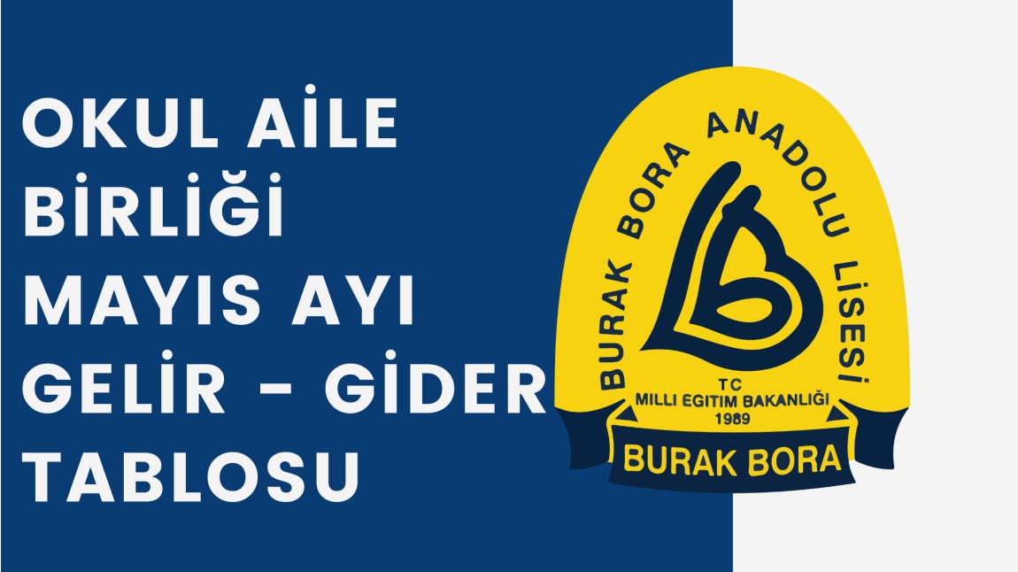 Okul Alie Birli I May S Ay Gelir Gider Tablosu Burak Bora Anadolu Lisesi